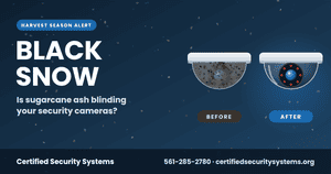 Black Snow Security Cameras