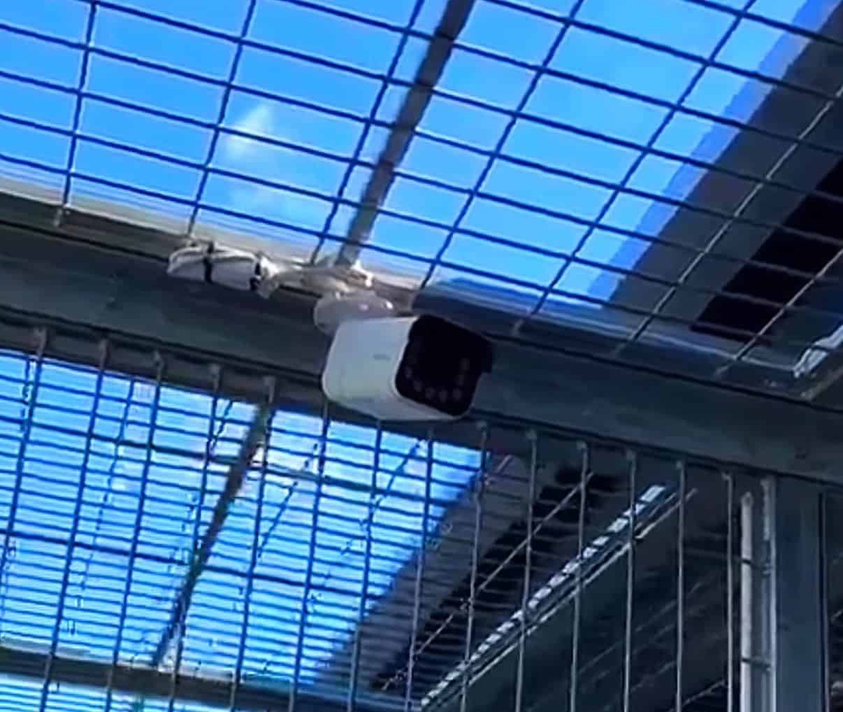 Security camera mounted on the frame of an animal habitat enclosure near Indiantown, FL